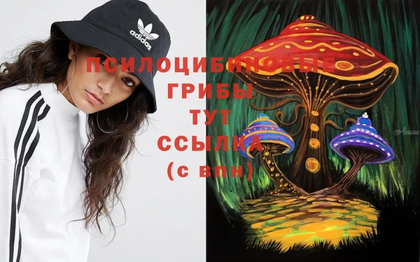 винт Алзамай