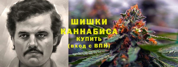 винт Алзамай