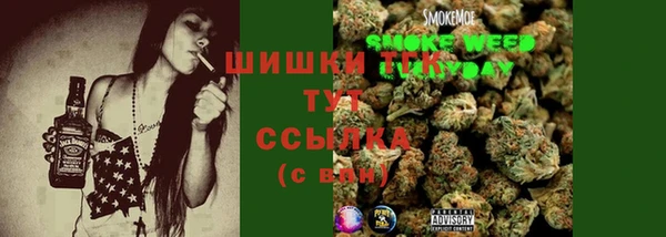 винт Алзамай