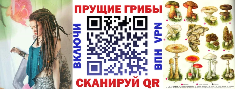 купить закладку  Жуков  Псилоцибиновые грибы Cubensis 